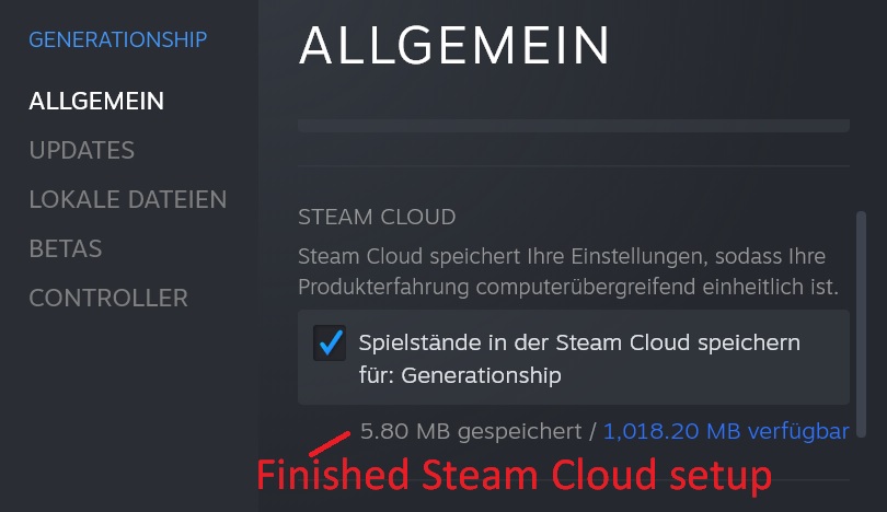 2021-06-22_generationship_-_steam_cloud_setup.jpg